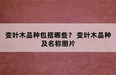 变叶木品种包括哪些？ 变叶木品种及名称图片